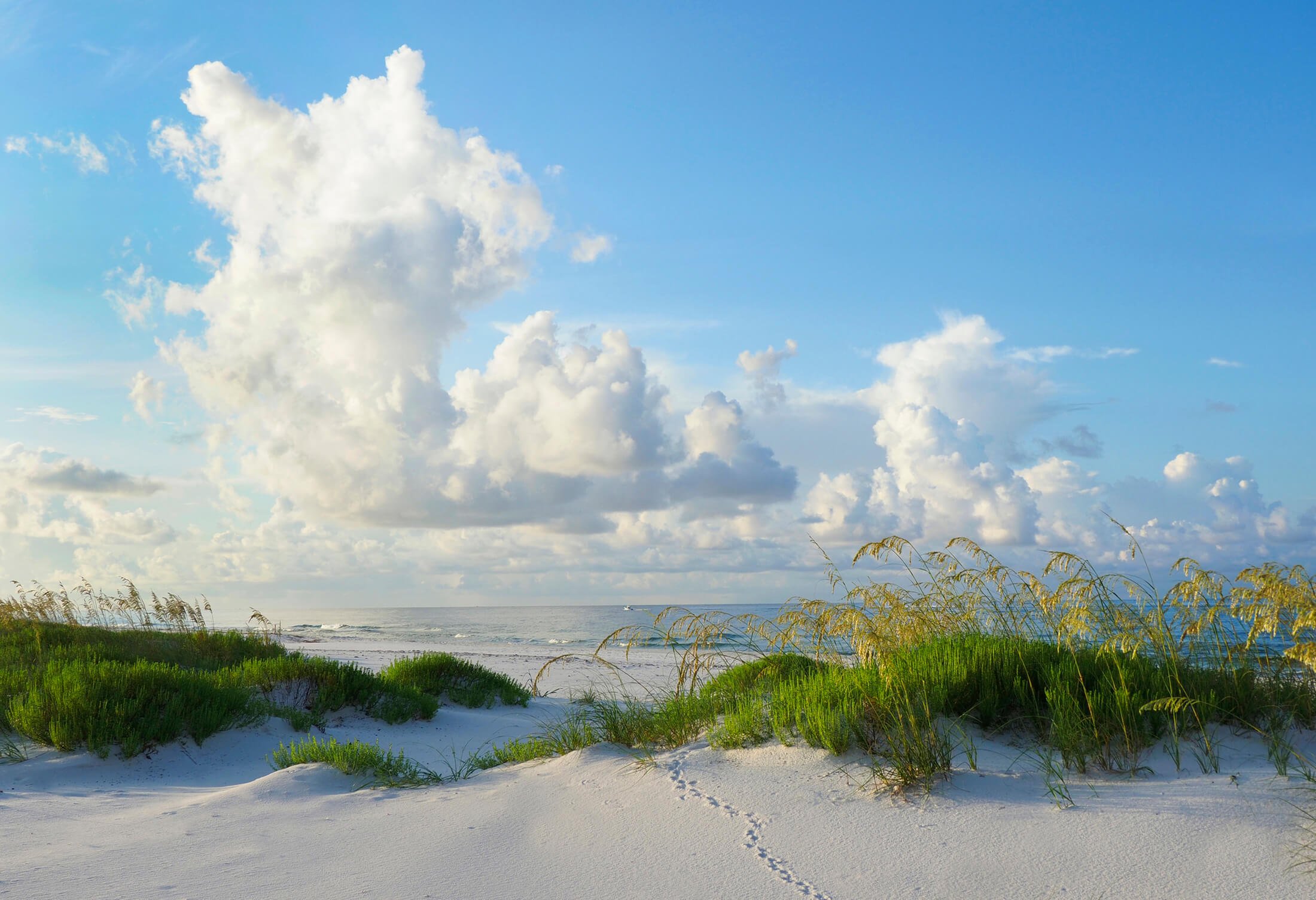 View of the beach