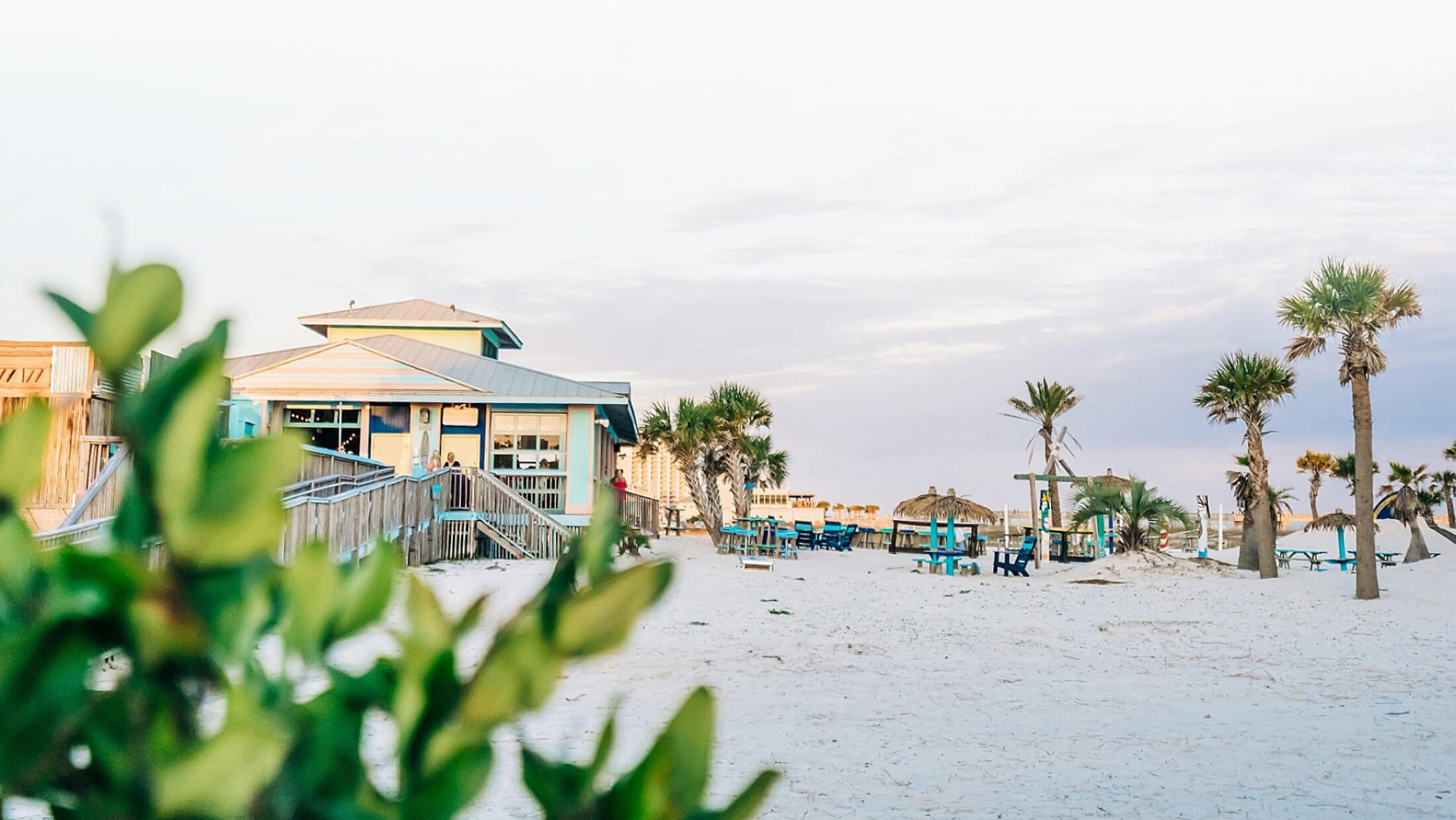 Salty Rose at the beach